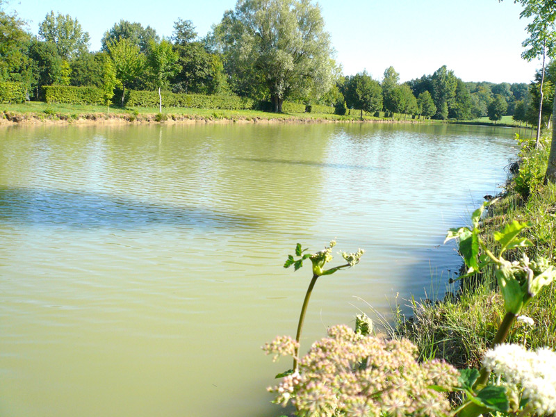 La pêche le long du Loir, une rivière pleine de diversité et riche en  poissons